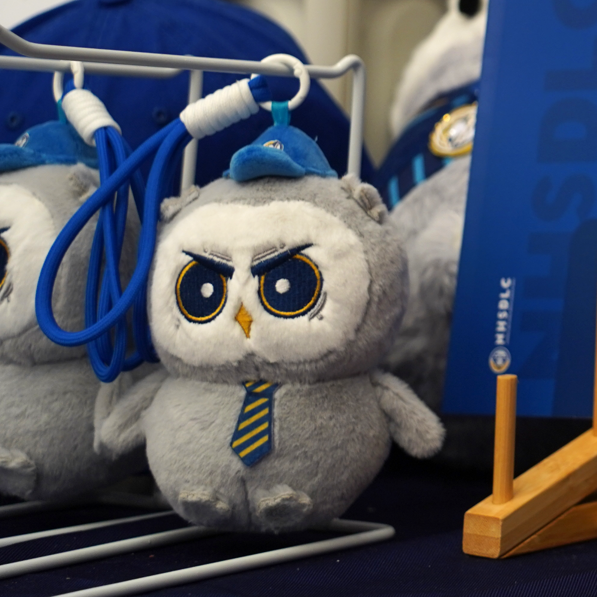 图片 NHSDLC吉祥物 DIDI毛绒包挂 公仔挂件 钥匙扣挂件